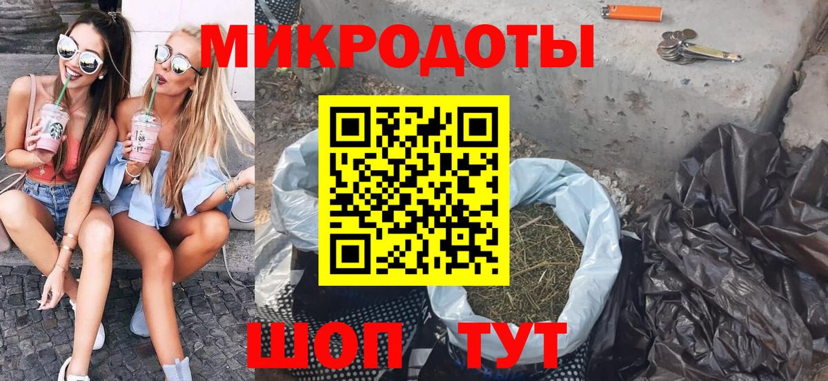 Сальск  Галлюциногенные грибы Psilocybine cubensis  Вход с VPN 